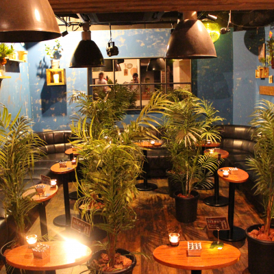 フォトギャラリー