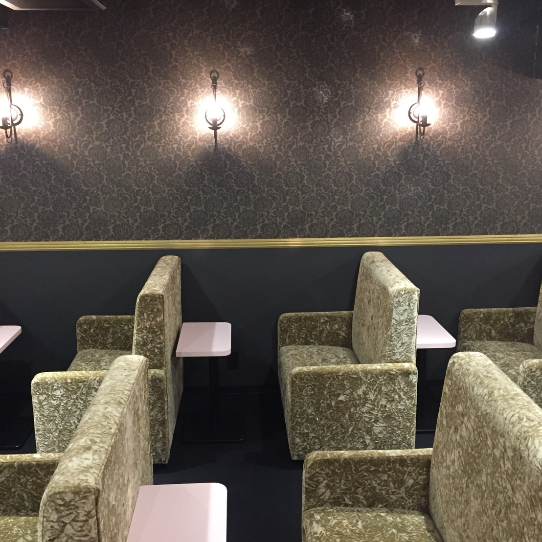 フォトギャラリー