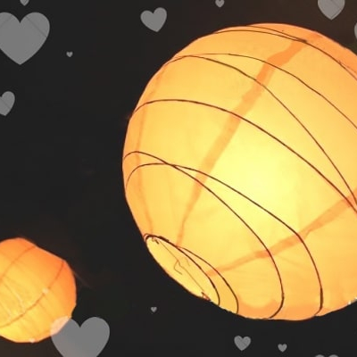 フォトギャラリー