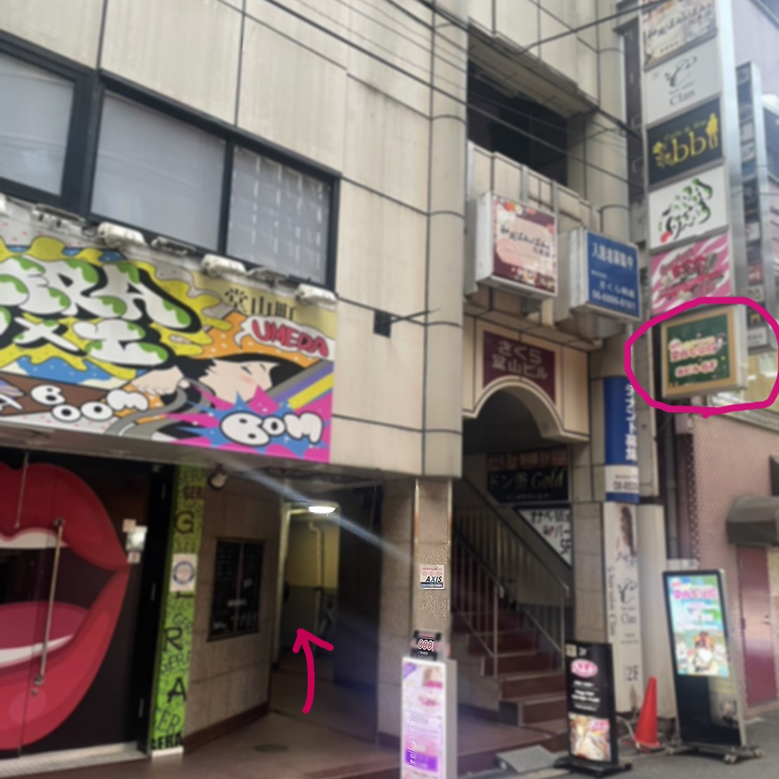 フォトギャラリー