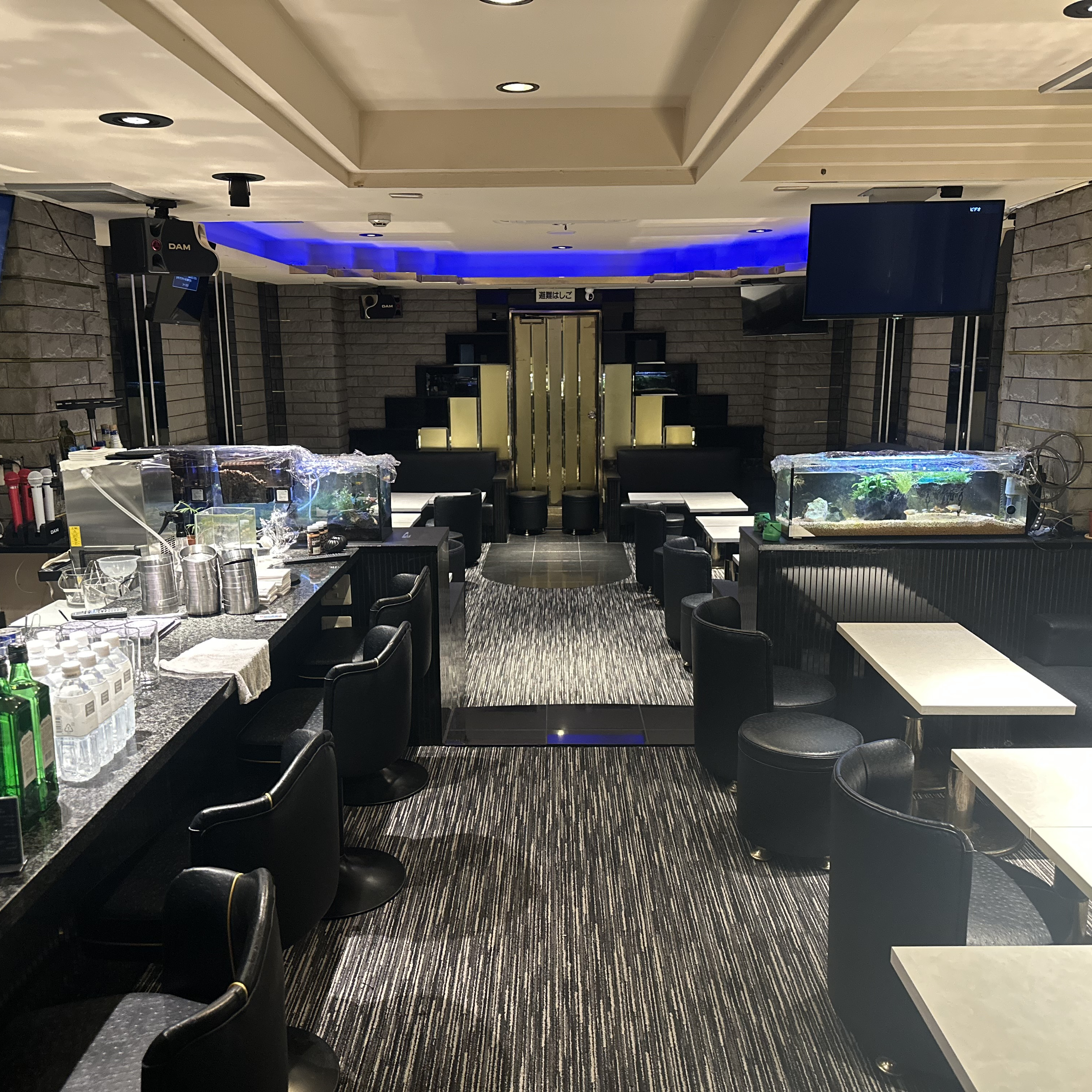 フォトギャラリー