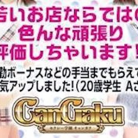 フォトギャラリー