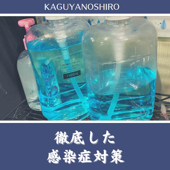 フォトギャラリー