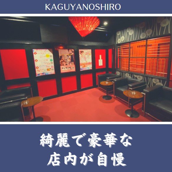 フォトギャラリー