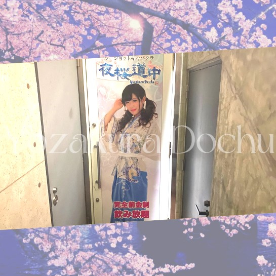 フォトギャラリー