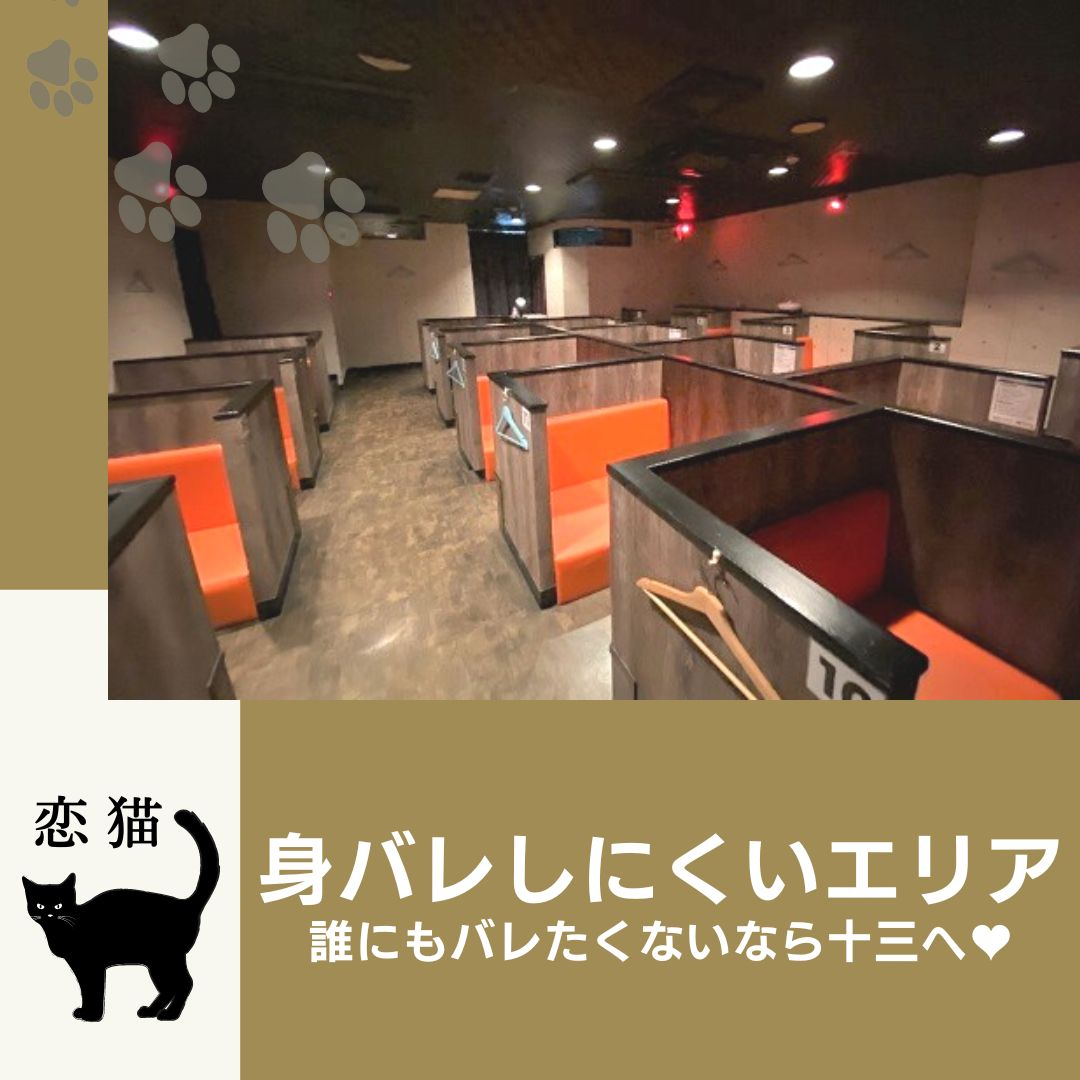 フォトギャラリー