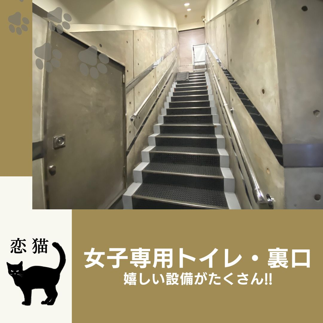 フォトギャラリー