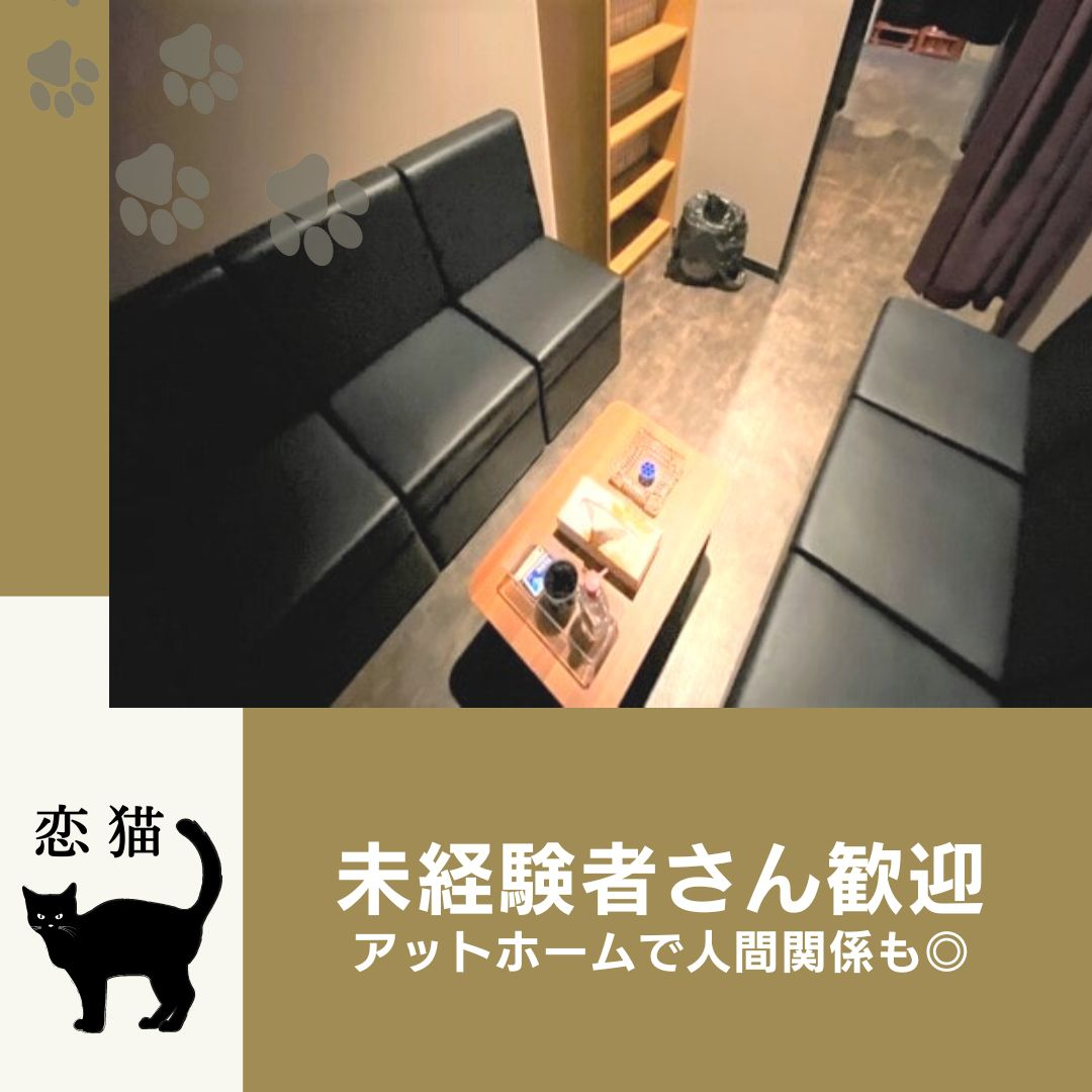 フォトギャラリー