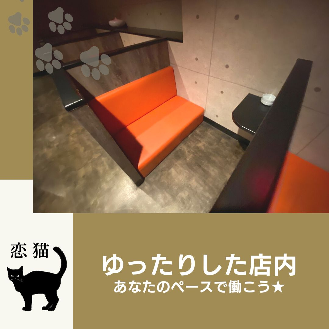 フォトギャラリー