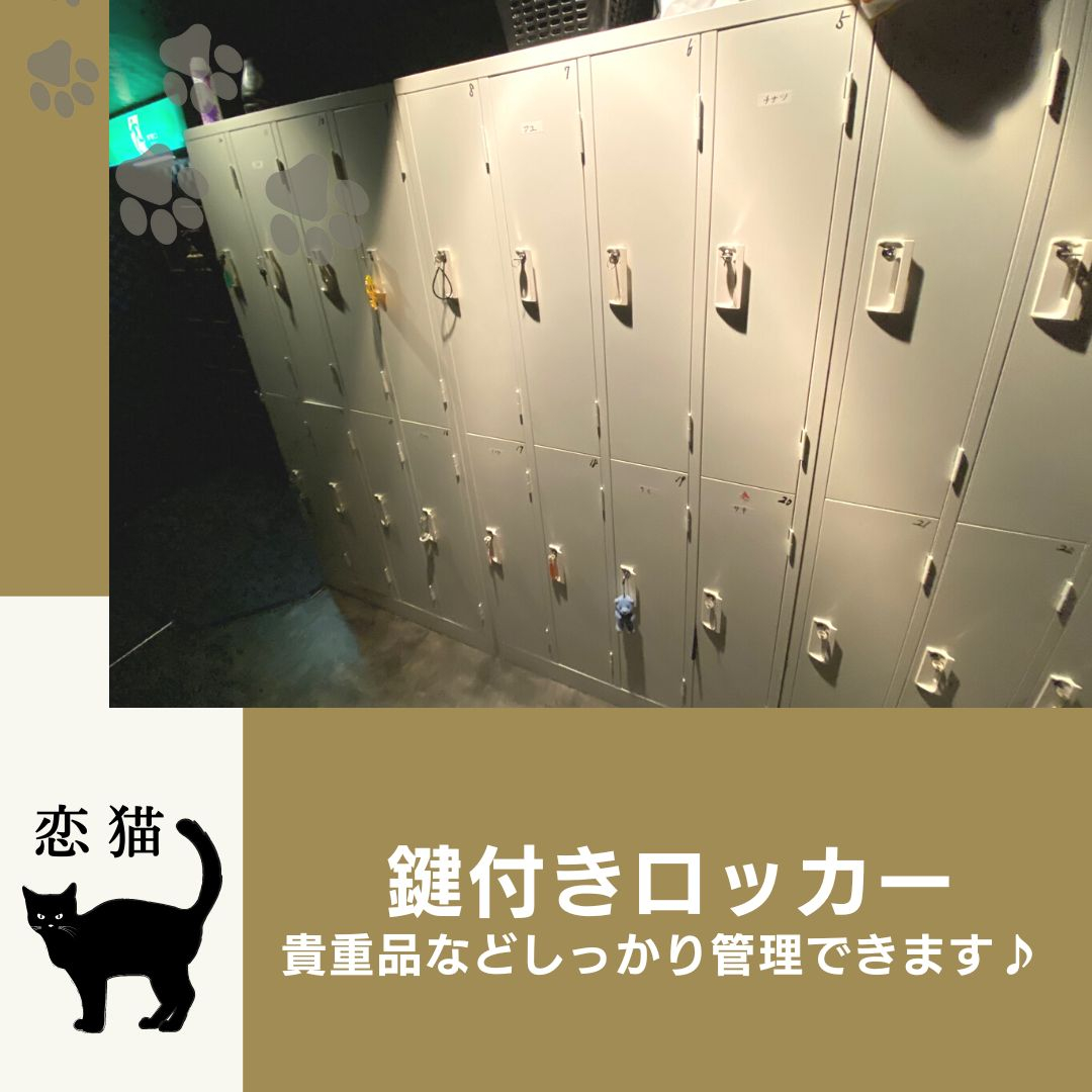 フォトギャラリー