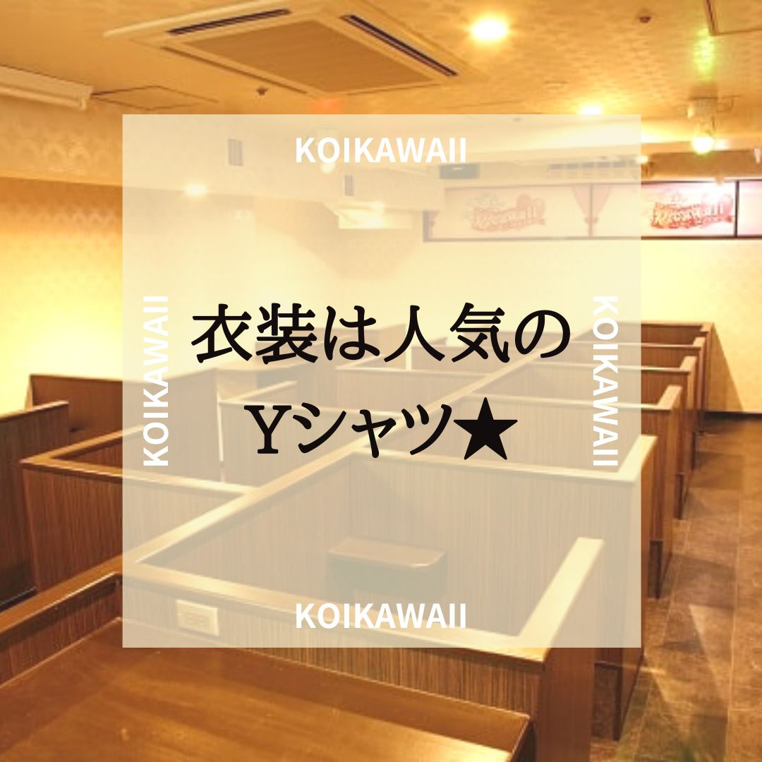 フォトギャラリー