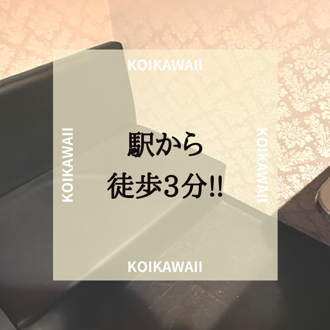 フォトギャラリー