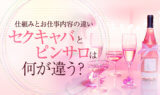 セクキャバとピンサロは何が違う？仕組みとお仕事内容の違い