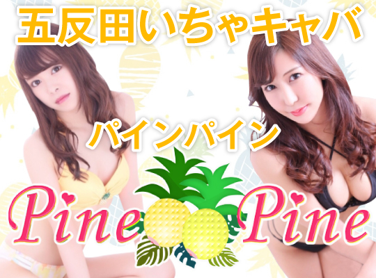 PINE PINE(パインパイン)